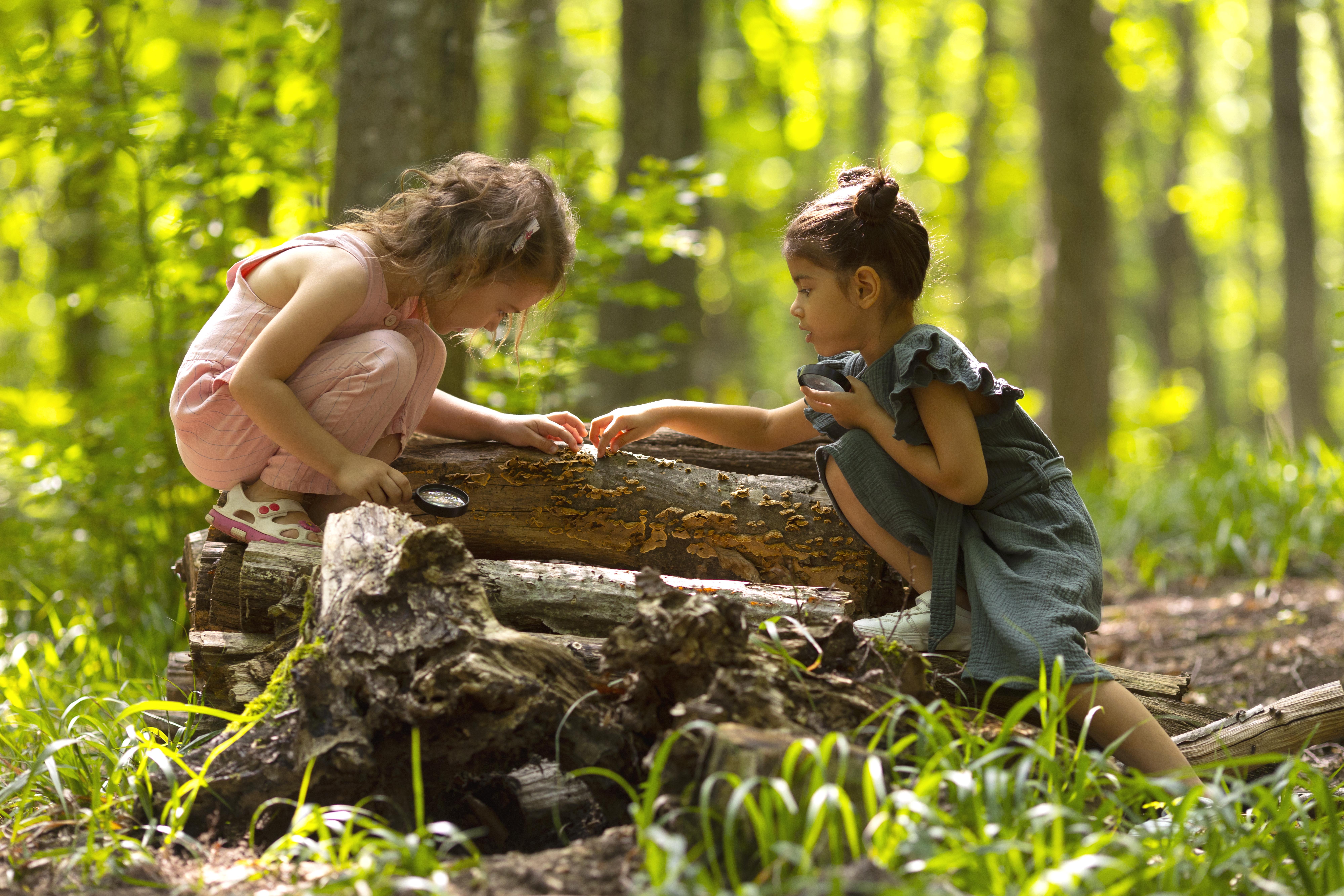 Illustration 1 — Désenchantement & mystère perdu